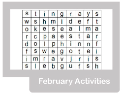 February Activities