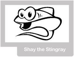 shay the stingray
